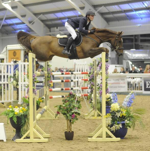 Liam Patrick Fitzgerald, Showjumper